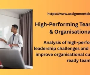 High-Performing Teams, Leadership & Organisational Change