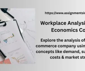 Workplace Analysis Using Key Economics Concepts