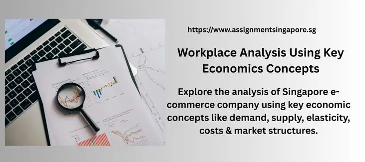 Workplace Analysis Using Key Economics Concepts