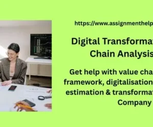 Digital Transformation & Value Chain Analysis Report