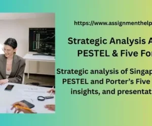 Strategic Analysis Assignment – PESTEL & Five Forces Guide