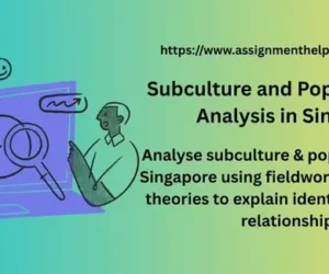 Subculture and Popular Culture Analysis in Singapore