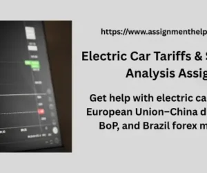 Electric Car Tariffs & Singapore BoP Analysis Assignment