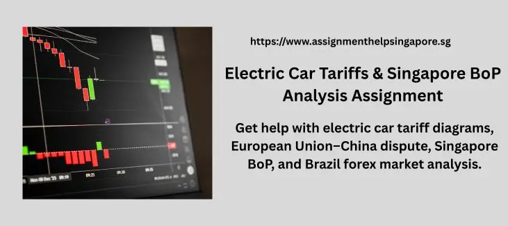 Electric Car Tariffs & Singapore BoP Analysis Assignment
