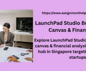 LaunchPad Studio Business Model Canvas & Financial Plan
