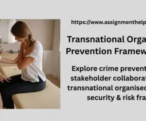 Transnational Organised Crime Prevention Framework Analysis