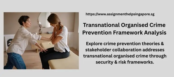 Transnational Organised Crime Prevention Framework Analysis