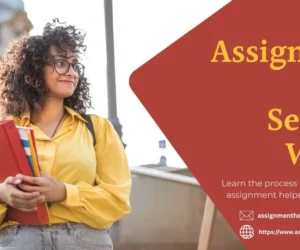 How Assignment Help Services Work in Singapore?