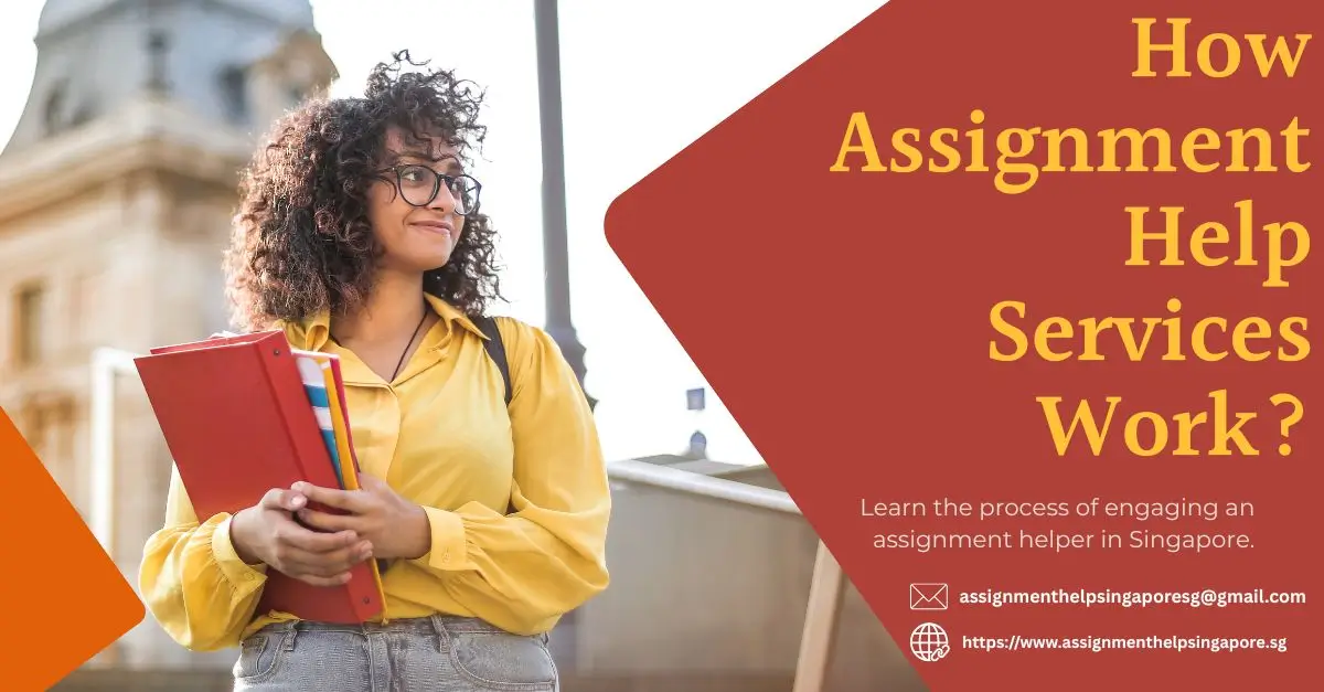 How Assignment Help Services Work in Singapore?