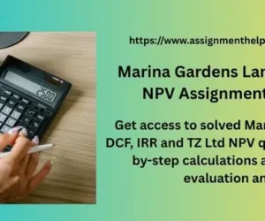 Marina Gardens Lane DCF, IRR & NPV Assignment Answers