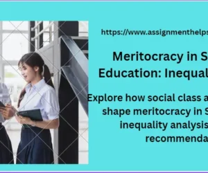 Meritocracy in Singapore Education: Inequality & Policy