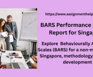 BARS Performance Management Report for Singapore Jobs