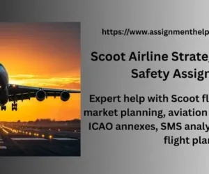Scoot Airline Strategy & Aviation Safety Assignment