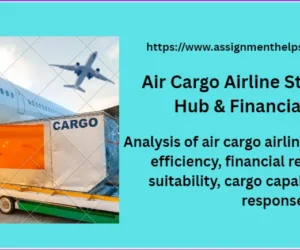 Air Cargo Airline Strategy: Fleet, Hub & Financial Analysis