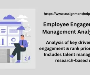 Employee Engagement & Talent Management Analysis | VitaCare