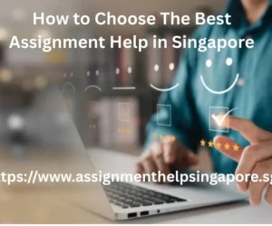 How to Choose the Best Assignment Help in Singapore?