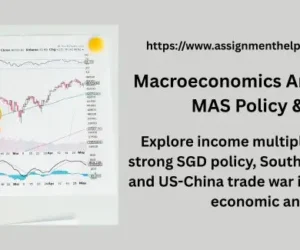 Macroeconomics Answers: Trade, MAS Policy & Tariffs