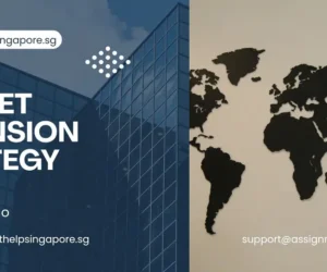 Analysing Bengawan Solo’s Internationalisation Readiness