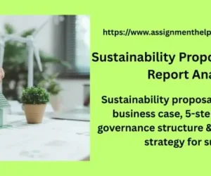 Sustainability Proposal & Strategy Report Analysis
