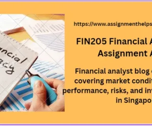 FIN205 Financial Analyst Blog Assignment Answer