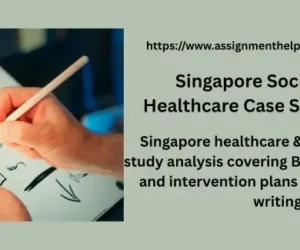 Singapore Social Work & Healthcare Case Study Analysis