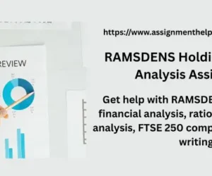 RAMSDENS Holdings Financial Analysis Assignment
