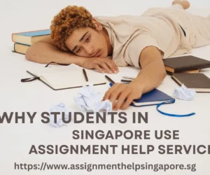 Why Students in Singapore Use Assignment Help Services?