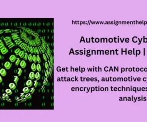 Automotive Cyber Security Assignment Help | CAN Protocol