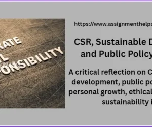 CSR, Sustainable Development and Public Policy Reflection
