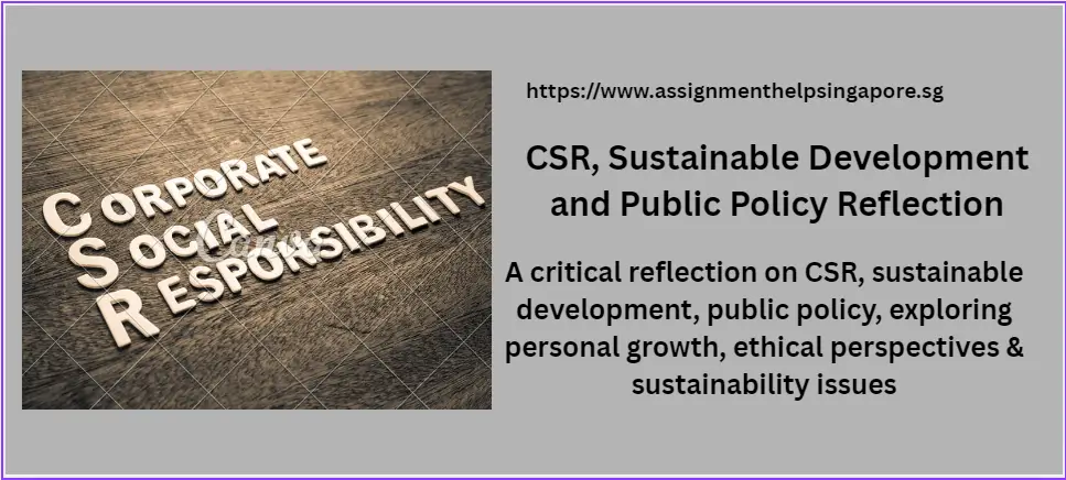 CSR, Sustainable Development and Public Policy Reflection