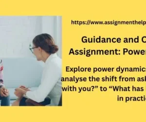 Guidance and Counselling Assignment: Power and Practice