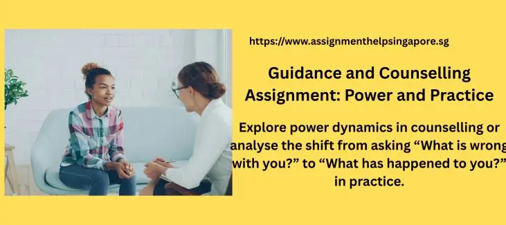 Guidance and Counselling Assignment: Power and Practice