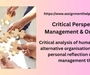 Critical Perspectives in Management & Organisation Assignment