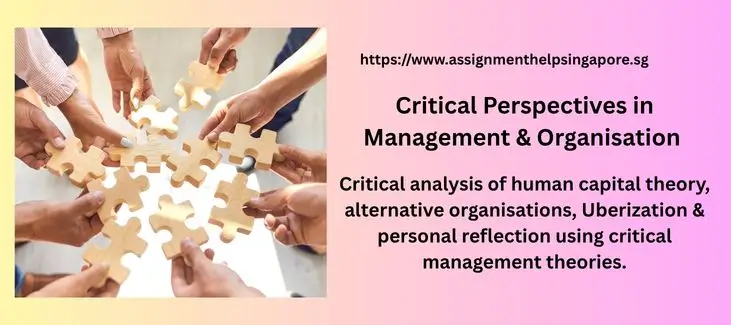 Critical Perspectives in Management & Organisation Assignment