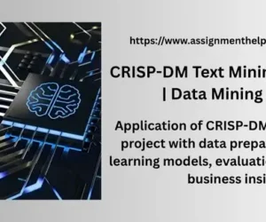 CRISP-DM Text Mining Assignment | Data Mining Project