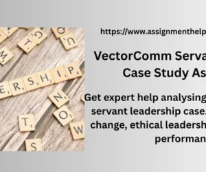 VectorComm Servant Leadership Case Study Assignment