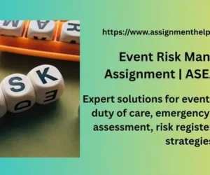 Event Risk Management Assignment | ASEAN Summit