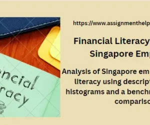 Financial Literacy Analysis of Singapore Employees