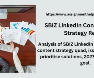 SBIZ LinkedIn Content Audit & Strategy Report
