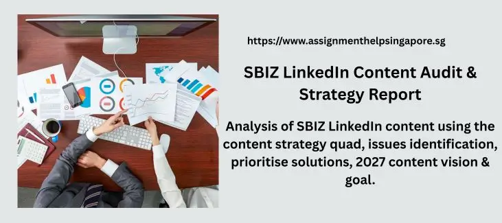 SBIZ LinkedIn Content Audit & Strategy Report