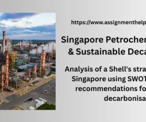 Singapore Petrochemical Strategy & Sustainable Decarbonisation