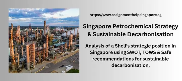 Singapore Petrochemical Strategy & Sustainable Decarbonisation