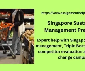 Singapore Sustainability Management Presentation Assignment