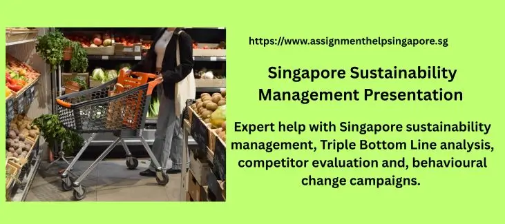 Singapore Sustainability Management Presentation Assignment