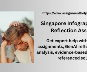 Singapore Infographic & GenAI Reflection Assignment