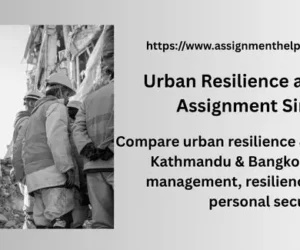 Urban Resilience and Security Assignment Singapore