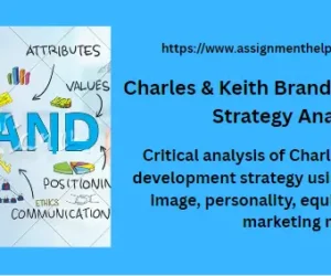 Charles & Keith Brand Development Strategy Analysis