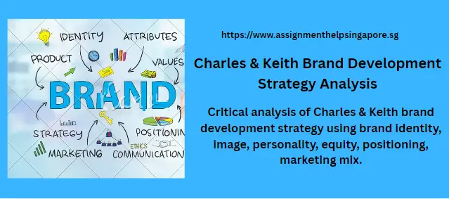 Charles & Keith Brand Development Strategy Analysis