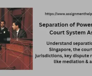 Separation of Powers & Singapore Court System Assignment