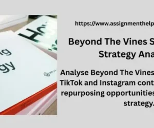 Beyond The Vines Social Media Strategy Analysis